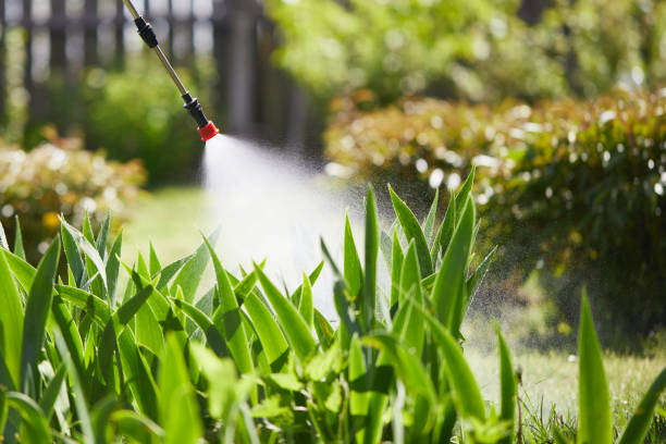 Tamper-Resistant Bait Stations for Rodents in Tainter Lake