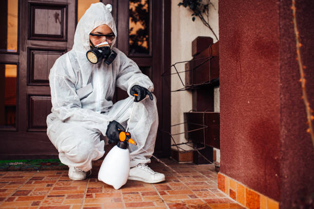 Attic and Crawl Space Rodent Treatment in Tainter Lake