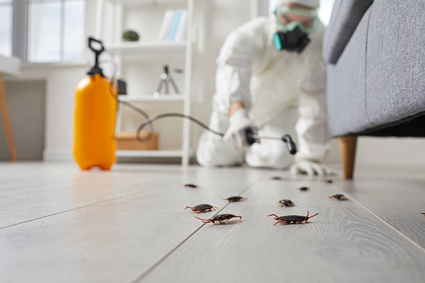 Commercial Rodent Management in Tainter Lake